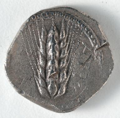 Metapontion coin