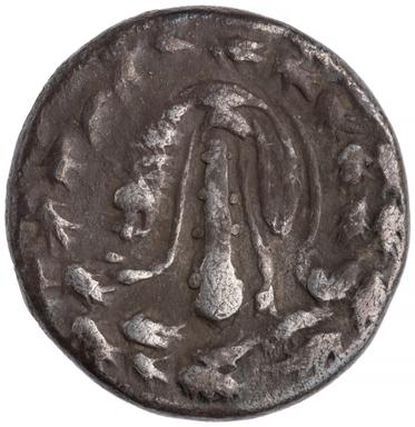 Tralles Silver Didrachm, obverse