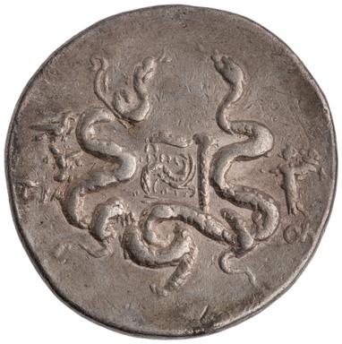 Tralles Silver Cistophorus, reverse