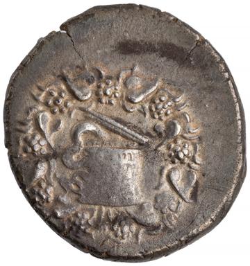 Nysa Silver Cistophorus, obverse