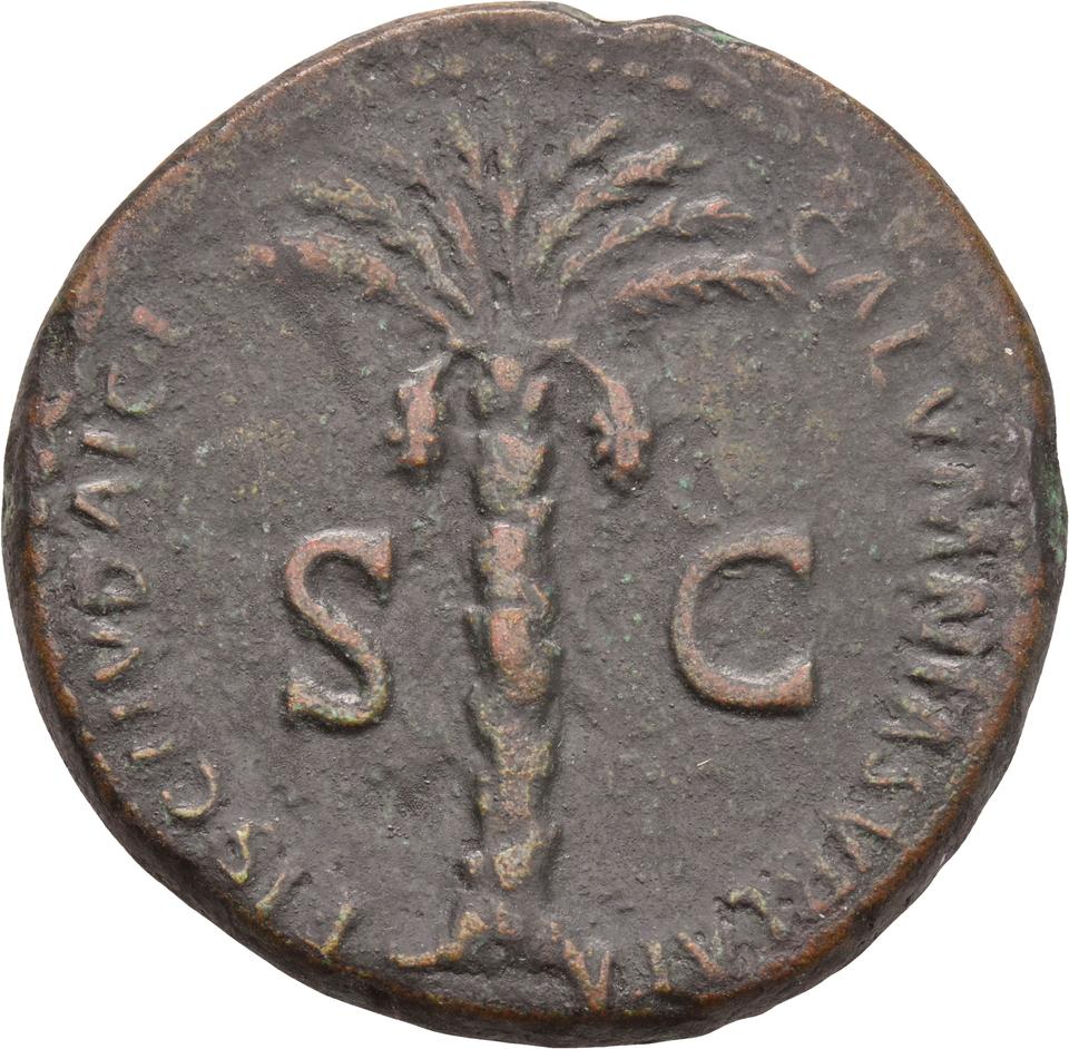 Nerva, copper-alloy sestertius, collection photograph Koeln-ID679, reverse