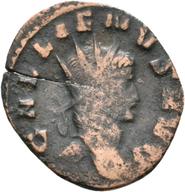 Rostock-ID1052 obverse