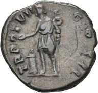 Koeln-ID786 reverse