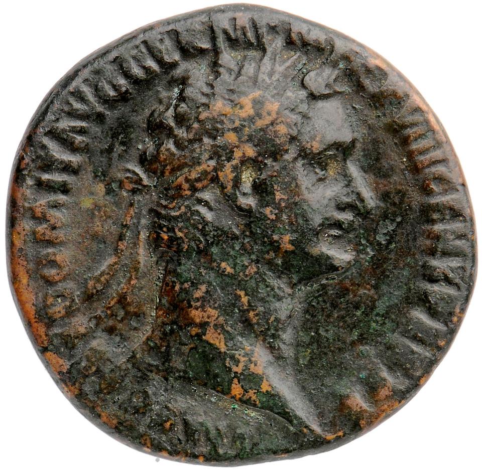 Domitian, copper-alloy as, collection photograph Muenster-ID16, obverse