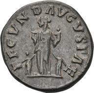 Koeln-ID816 reverse