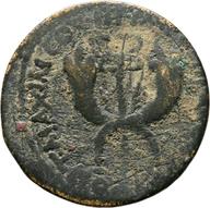 Koeln-ID1438 reverse