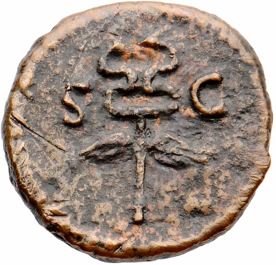 Nerva, copper-alloy quadrans, collection photograph Muenster-ID384, reverse