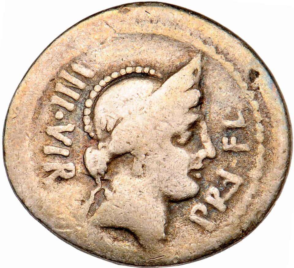 Roman Republic, silver denarius, collection photograph Muenster-ID171, obverse