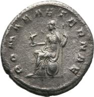 Mainz-ID31 reverse