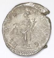 IATH-1991.17.213 reverse
