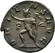 Mainz-ID767 reverse