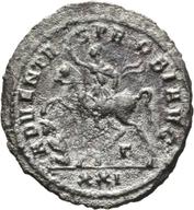 Mainz-ID133 reverse