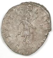 IATH-1991.17.224 reverse