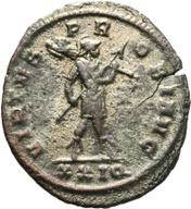 Mainz-ID113 reverse