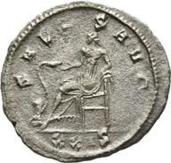 Mainz-ID132 reverse