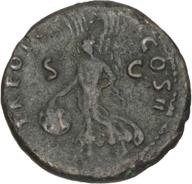 Herzog-ID56 reverse