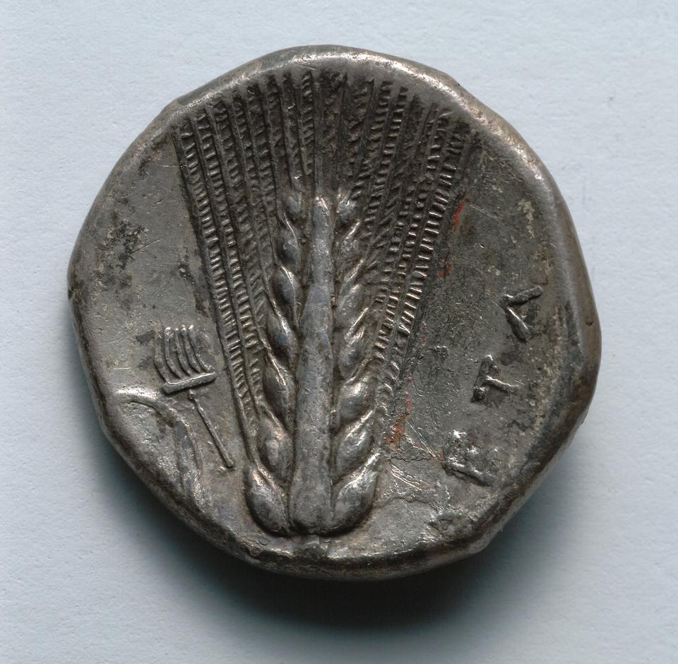 Metapontion, Silver stater, collection photograph CMA-1917-983, reverse