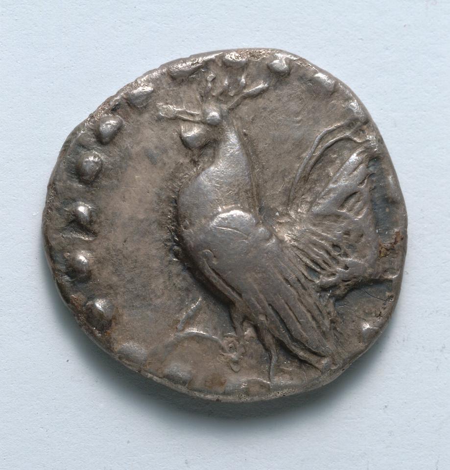 Himera, Silver drachm, collection photograph CMA-1917-989, obverse