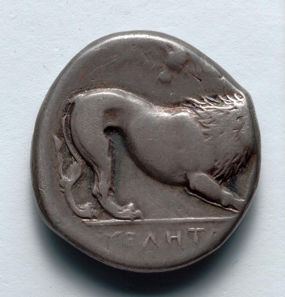 Hyele, Silver stater, collection photograph CMA-1917-996, reverse