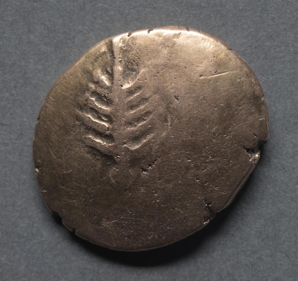 Catti, Gold stater, collection photograph CMA-1969-154, obverse