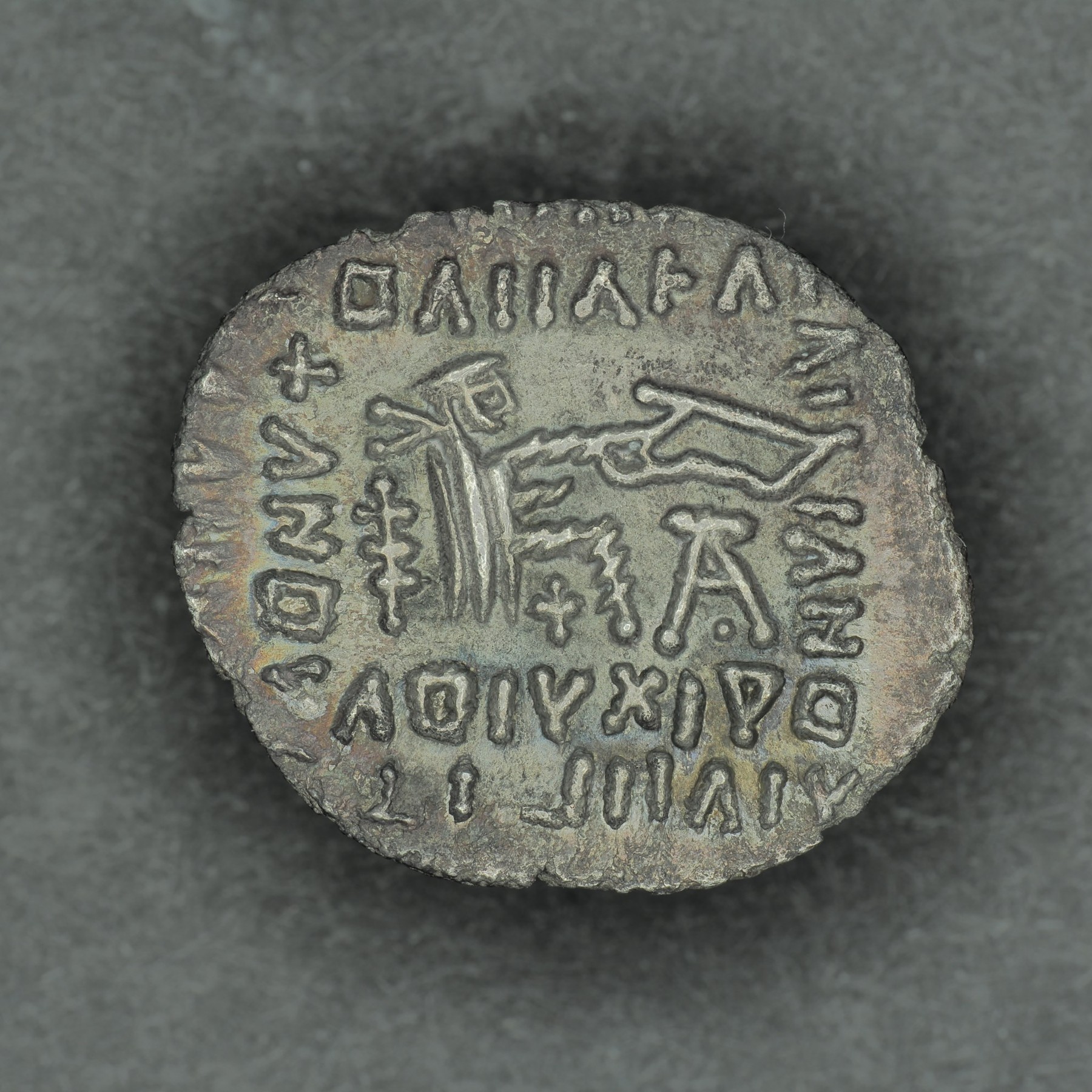 PAR-PAK1-AR-DR-002 reverse