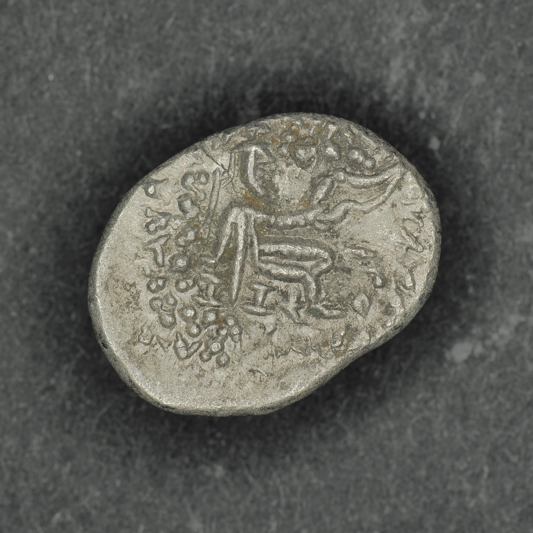 PAR-PHRA-AR-DR-003 reverse