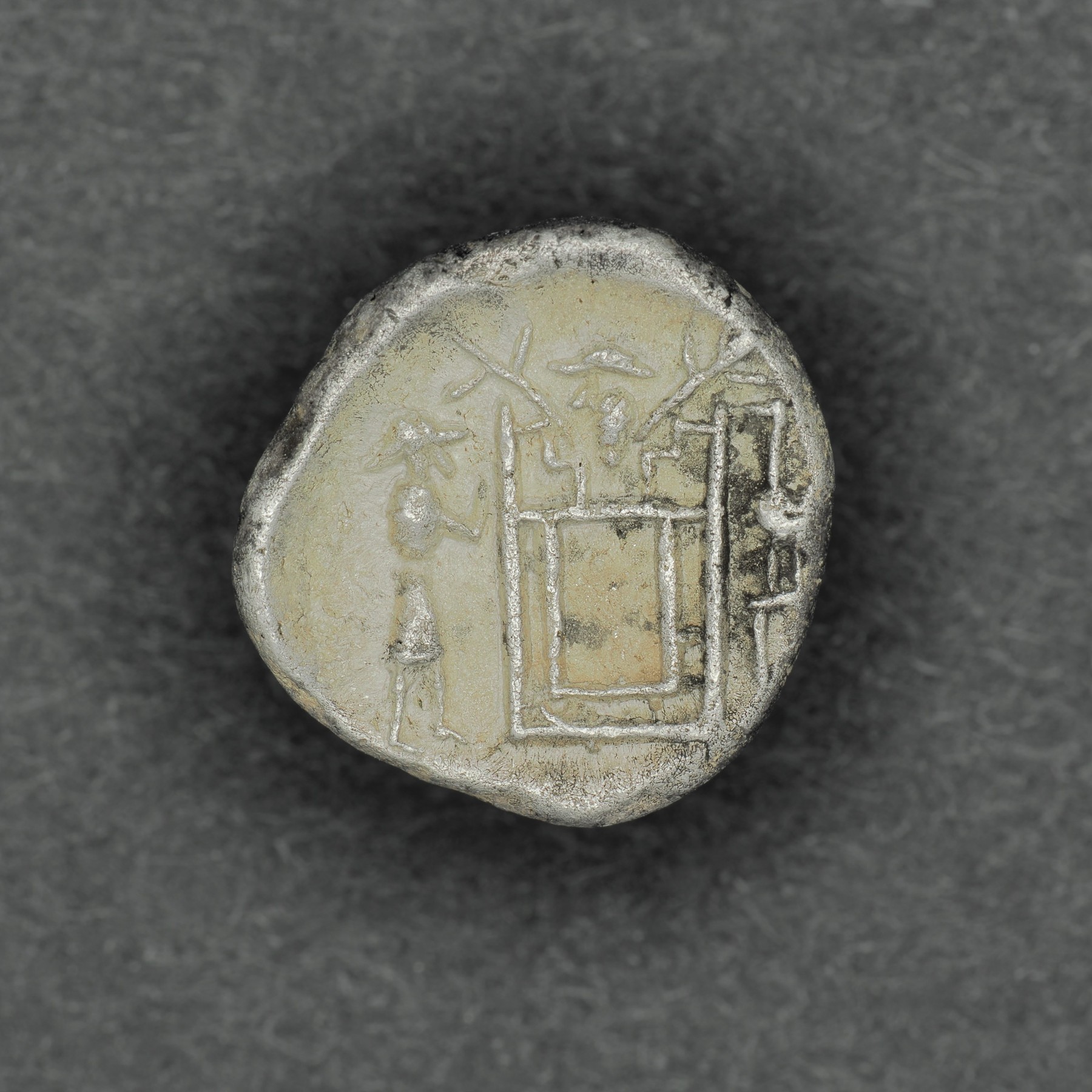 PERS-DAR1-AR-DR-024 reverse