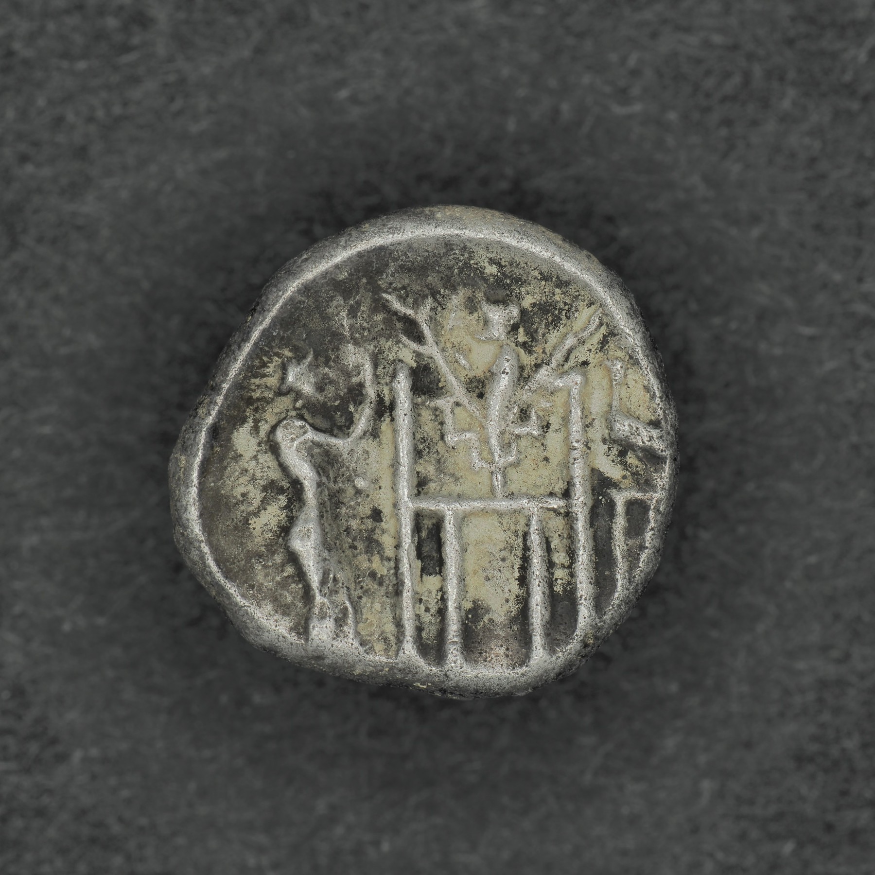 PERS-DAR1-AR-DR-029 reverse