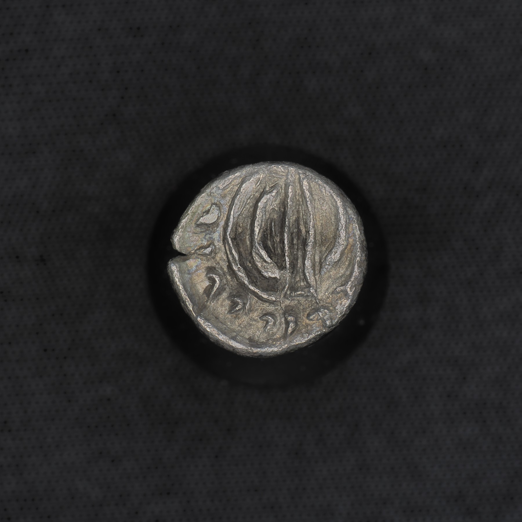Silver Obol of Prince Y (Unknown King II), Kingdom of Persis, reverse