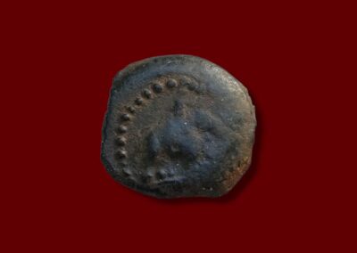 Obverse showing the facing bust of an elephant or symbolic royal figure under dotted border on ancient Seleucid bronze coin.