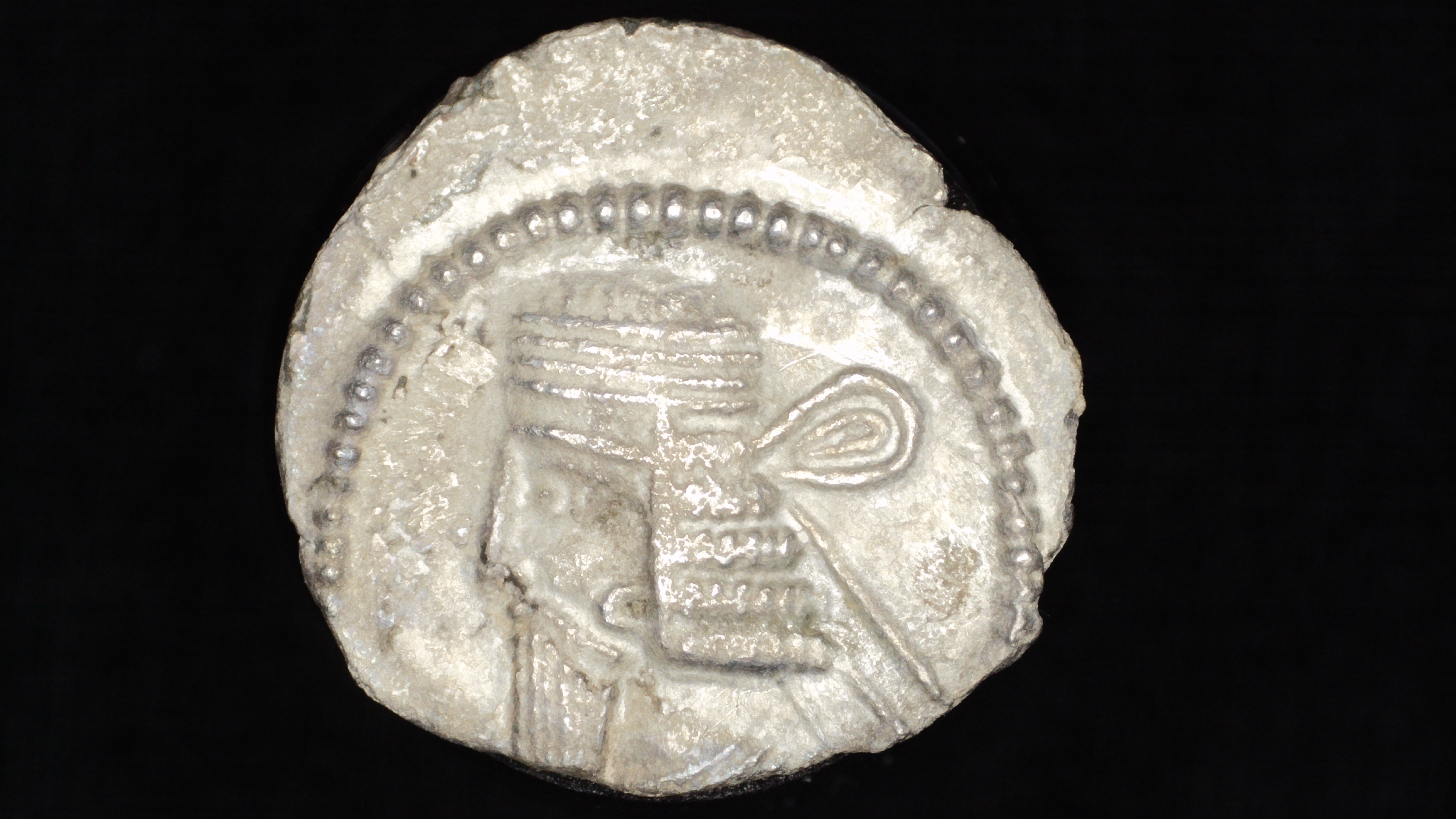 Obverse of Vologases I AR Drachm, Parthian King with square-cut beard and wart on brow
